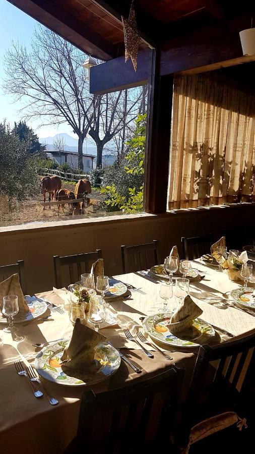 La Collina Dei Cavalieri Villa Belvedere Ostrense Eksteriør billede