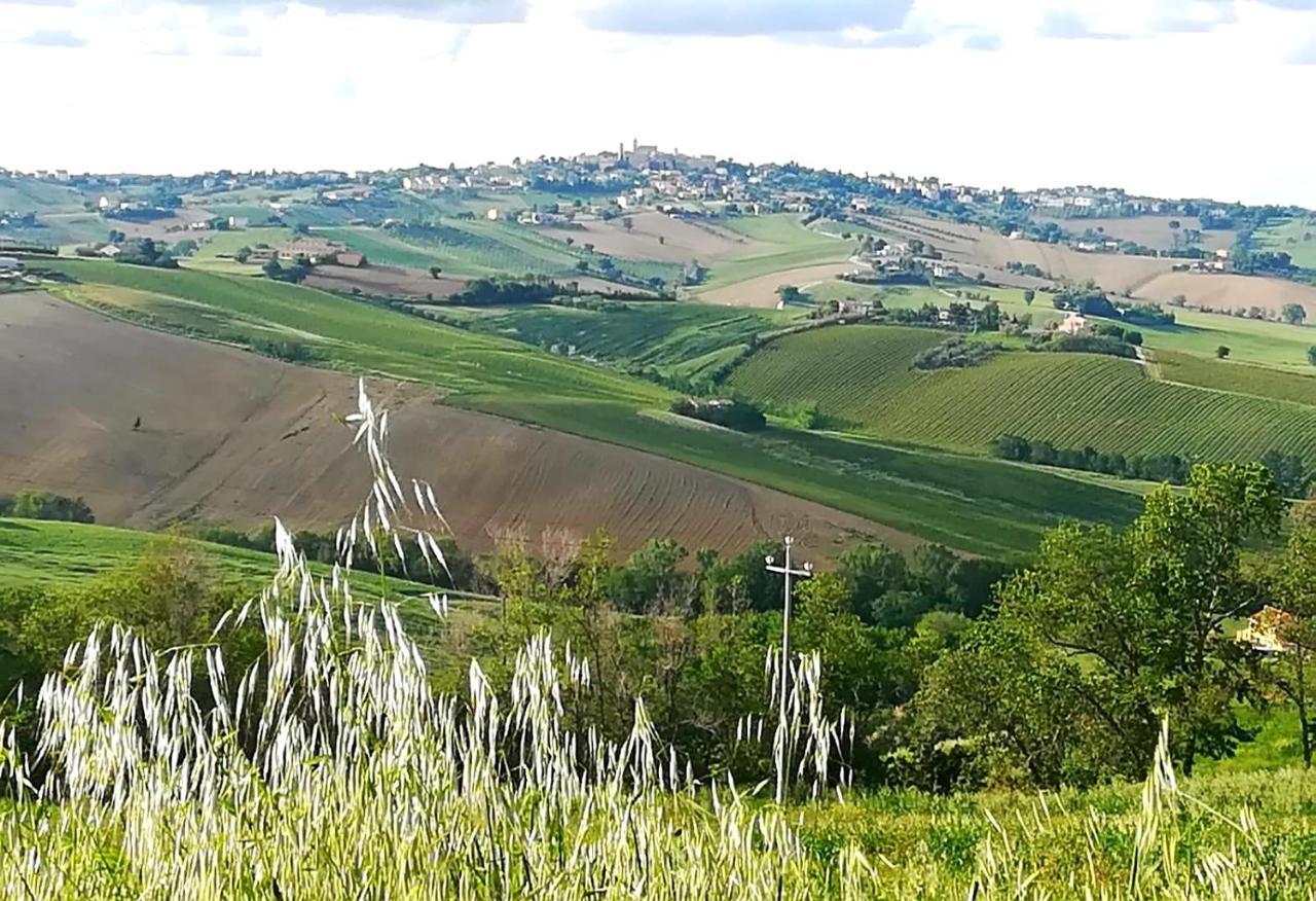 La Collina Dei Cavalieri Villa Belvedere Ostrense Eksteriør billede