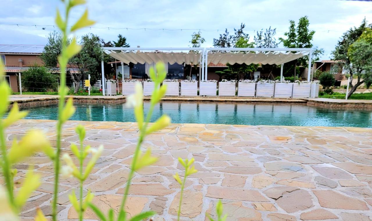 La Collina Dei Cavalieri Villa Belvedere Ostrense Eksteriør billede