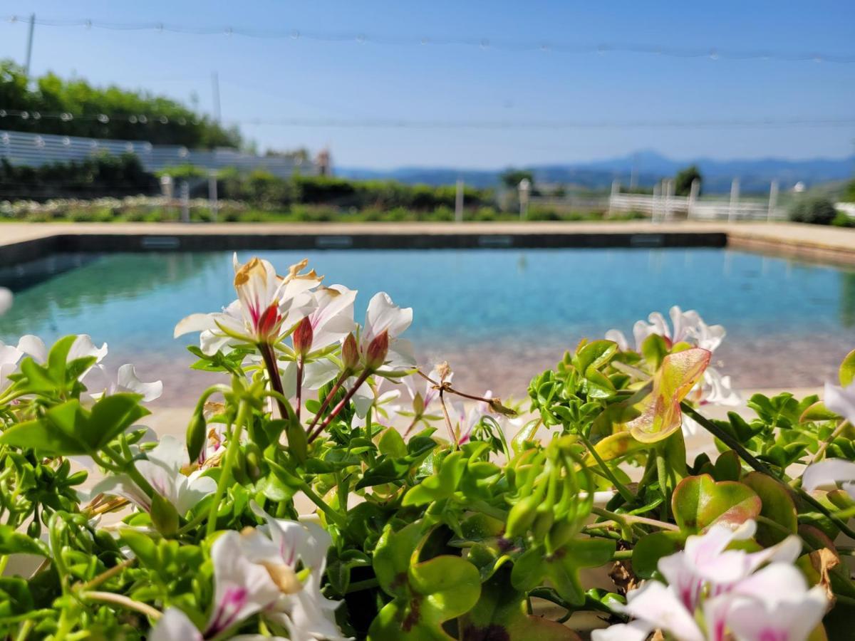 La Collina Dei Cavalieri Villa Belvedere Ostrense Eksteriør billede