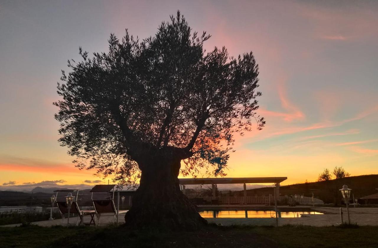 La Collina Dei Cavalieri Villa Belvedere Ostrense Eksteriør billede